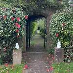Ballea Castle * Cork
