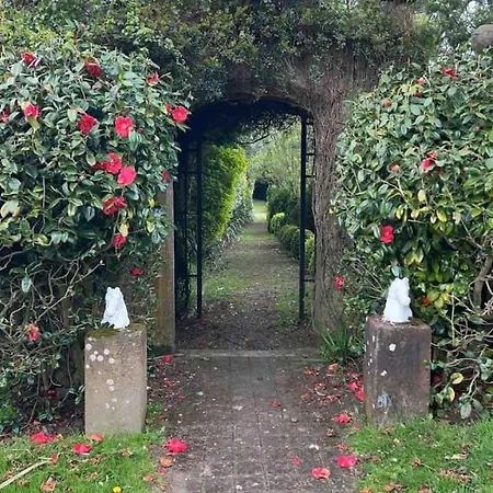 Ballea Castle * Cork