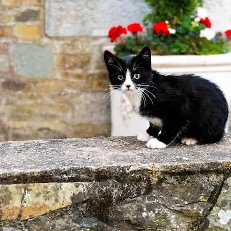 Ballea Castle * Cork