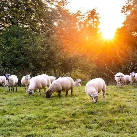 Apartment Ballea Castle