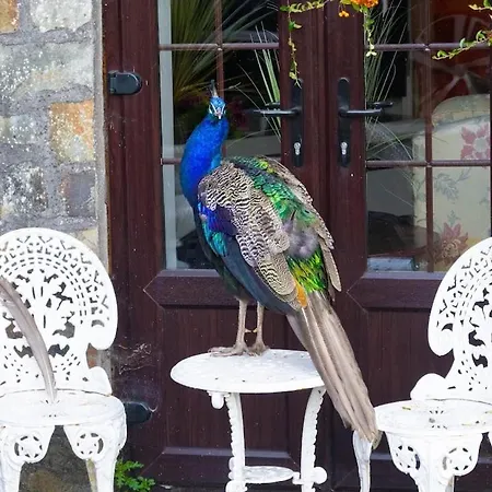 Apartment Ballea Castle Cork