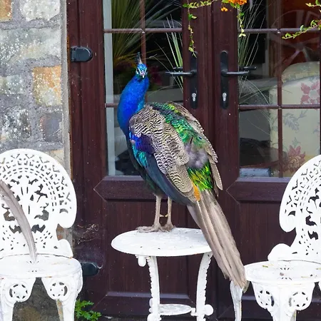 Ballea Castle Appartement Cork