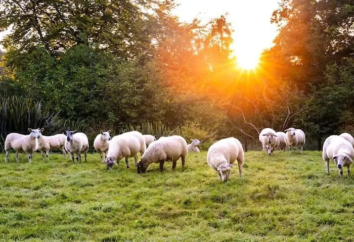 Апартаменты Ballea Castle