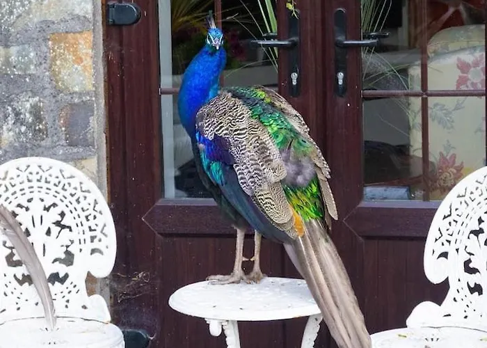 Appartement Ballea Castle Cork